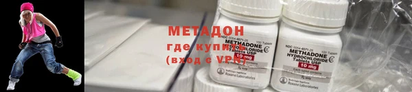 прущие грибы Дмитриев