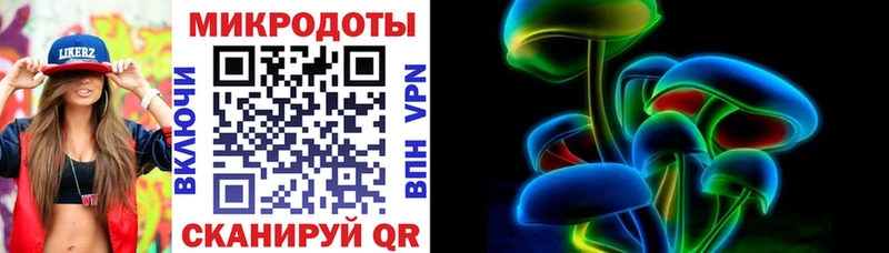 Псилоцибиновые грибы Psilocybe Колпашево